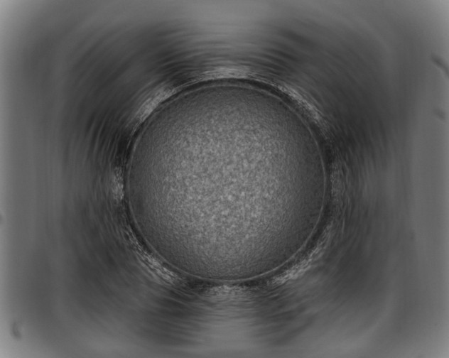 X0000097470929200802291307