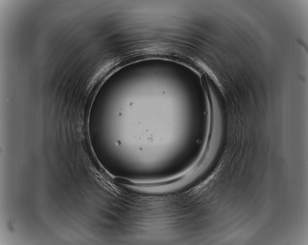X0000097470930200802291307