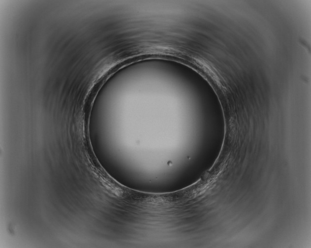 X0000097470931200802291307