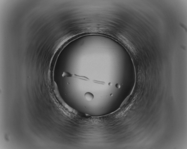 X0000097470932200802291307