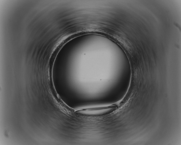 X0000097470934200802291307