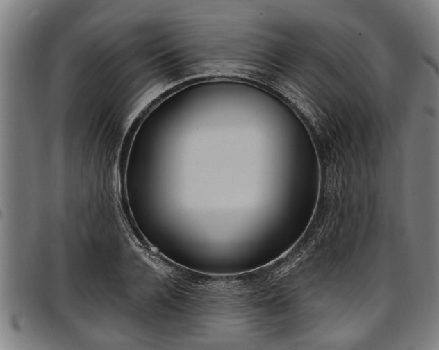 X0000097470936200802291307