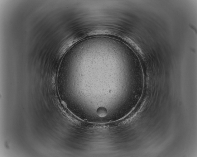 X0000097470937200802291307
