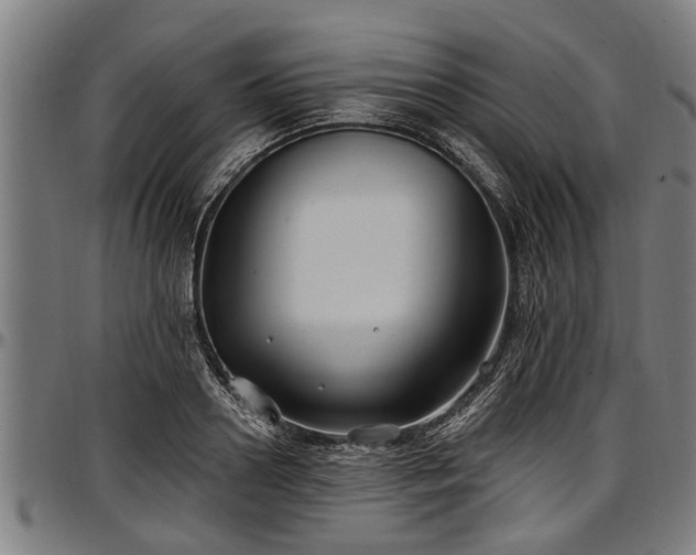 X0000097470938200802291307