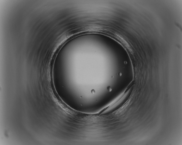 X0000097470939200802291307