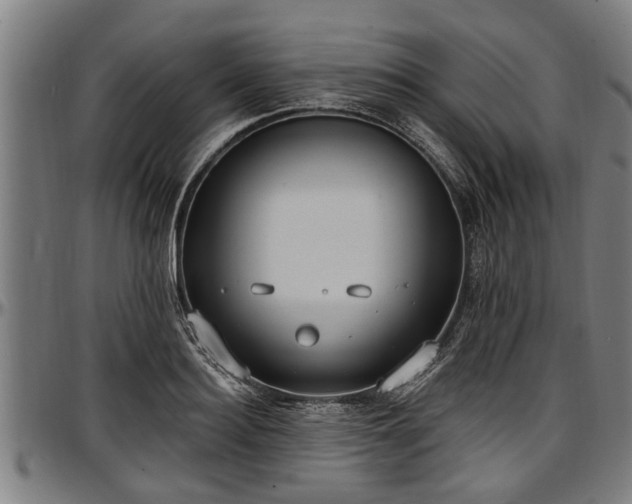 X0000097470940200802291307