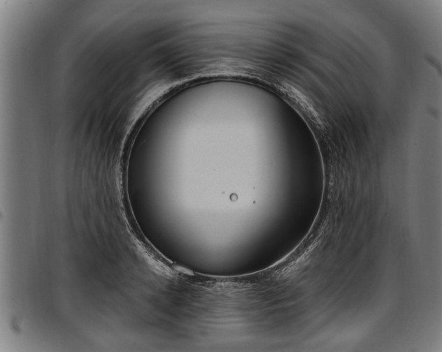 X0000097470942200802291307