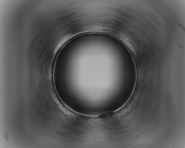 X0000097470944200802291307