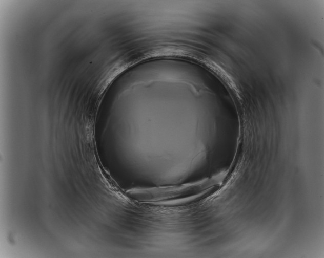 X0000097470945200802291307