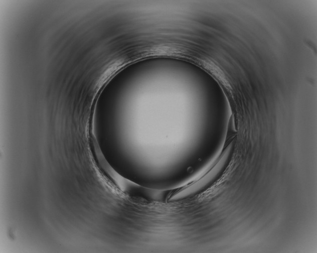 X0000097470946200802291307