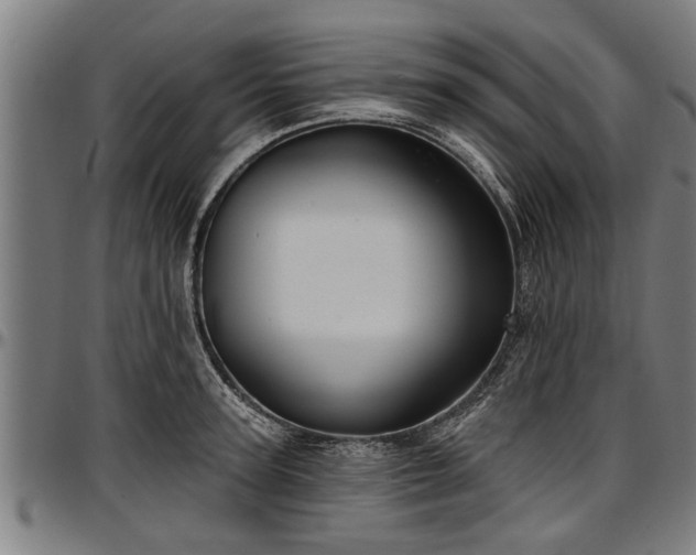 X0000097470947200802291307
