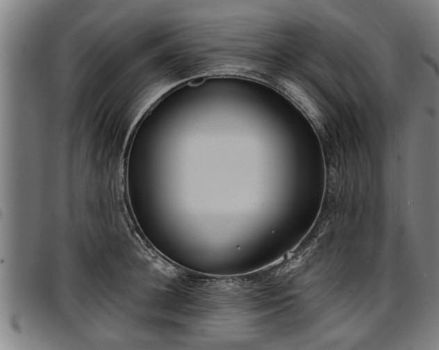 X0000097470948200802291307