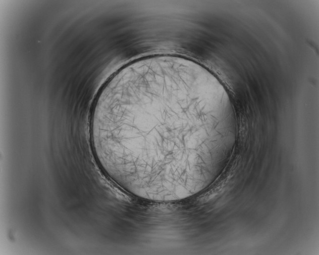 X0000097470950200802291307