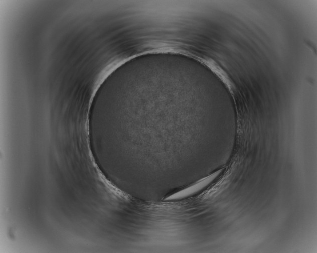 X0000097470951200802291308