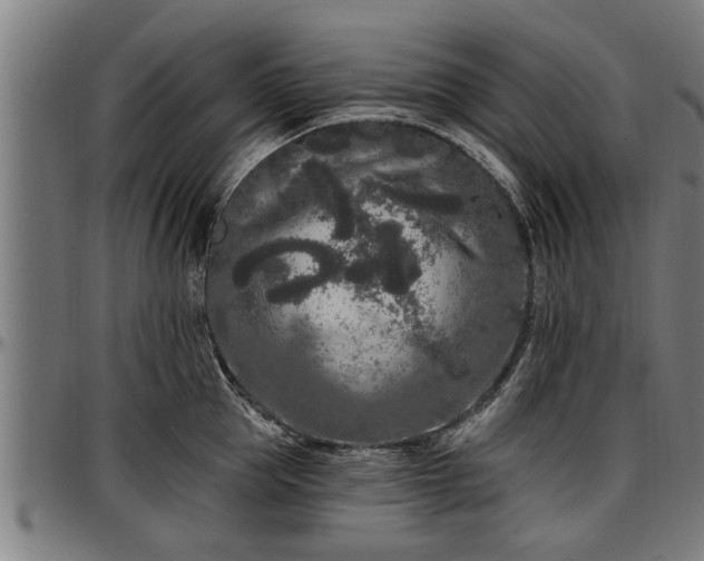 X0000097470953200802291308