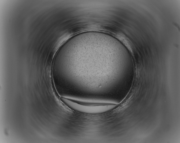 X0000097470954200802291308