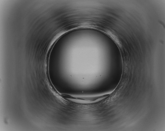X0000097470955200802291308