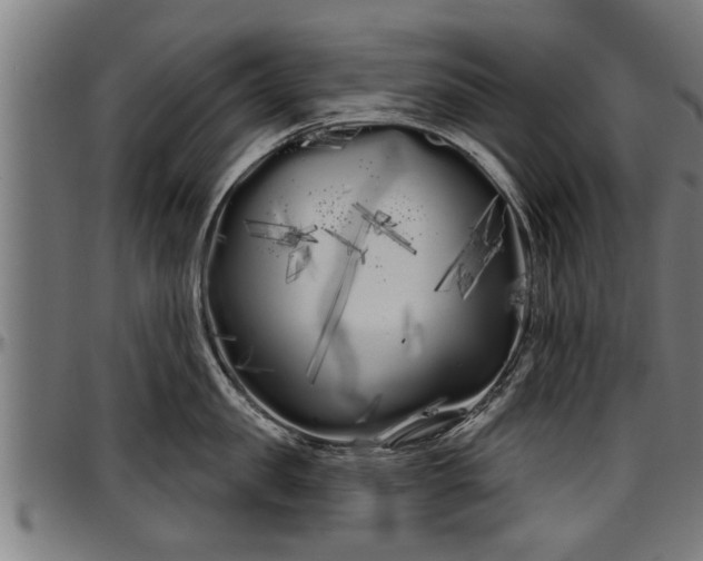 X0000097470957200802291308