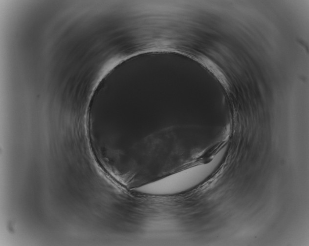 X0000097470958200802291308