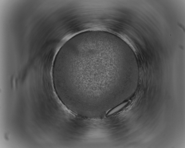 X0000097470959200802291308
