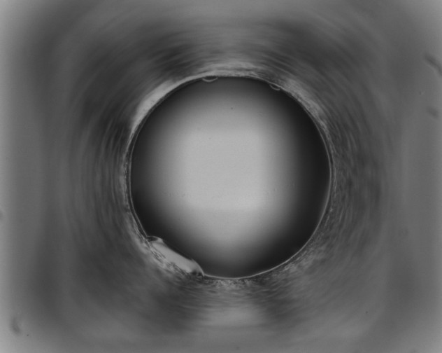 X0000097470960200802291308