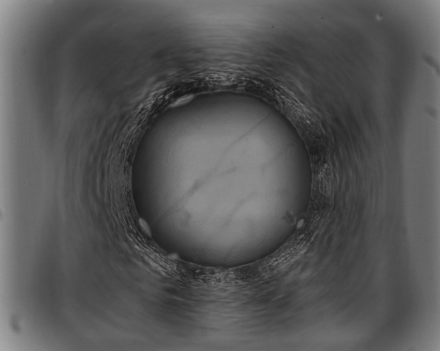 X0000097470961200802291307