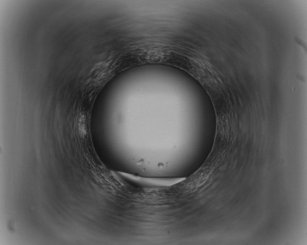 X0000097470962200802291307