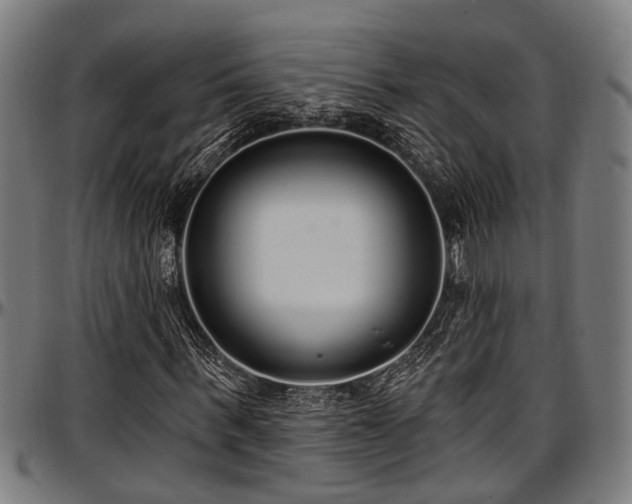 X0000097470963200802291307