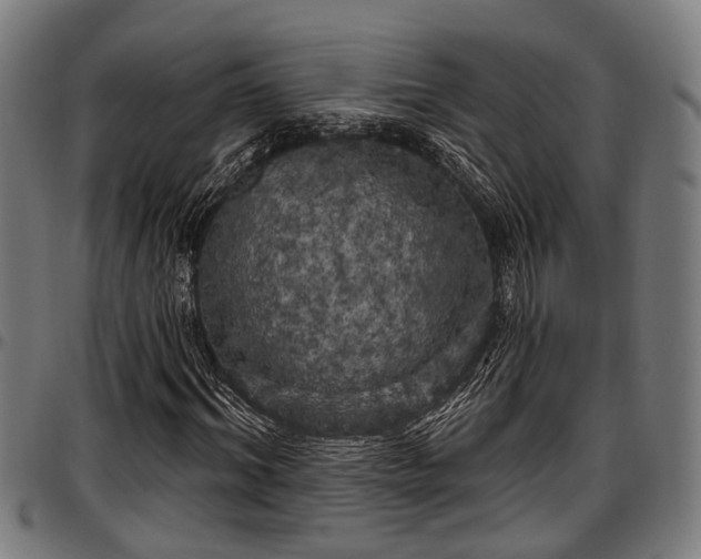 X0000097470964200802291307