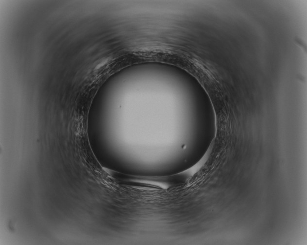 X0000097470965200802291307