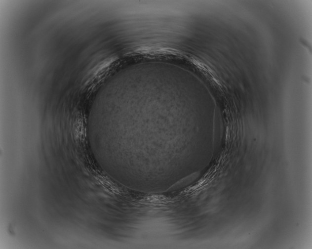 X0000097470966200802291307