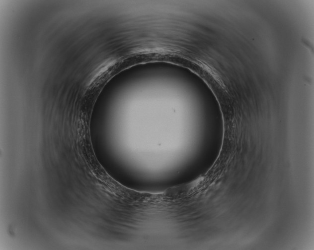 X0000097470967200802291307