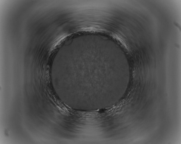 X0000097470968200802291307