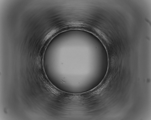 X0000097470970200802291307