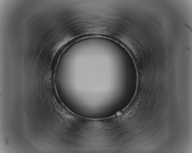 X0000097470971200802291307