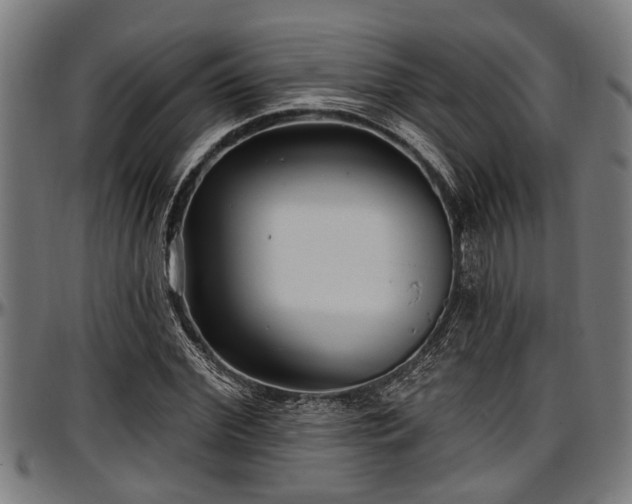 X0000097470972200802291307