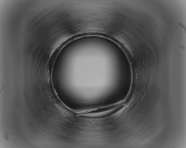 X0000097470973200802291307