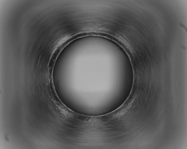 X0000097470974200802291307