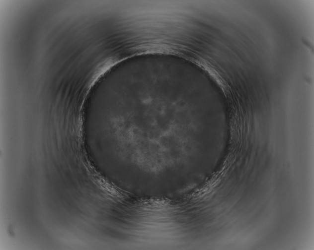 X0000097470975200802291307