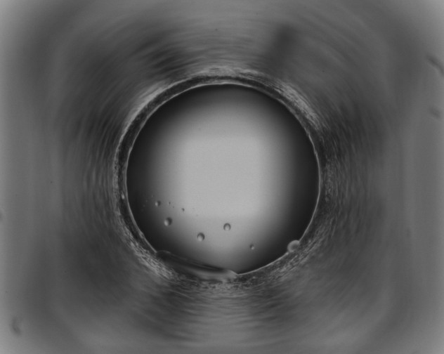X0000097470976200802291307