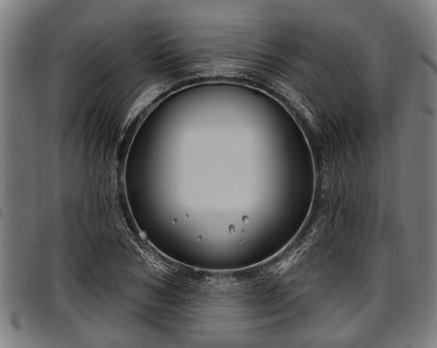X0000097470978200802291307