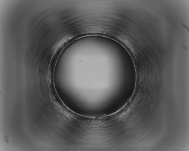 X0000097470979200802291307
