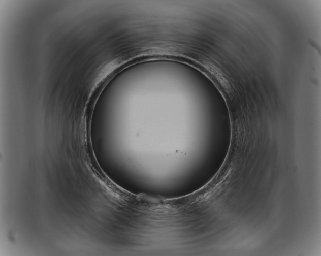 X0000097470982200802291307