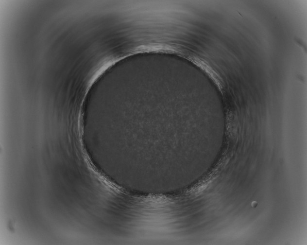 X0000097470983200802291307