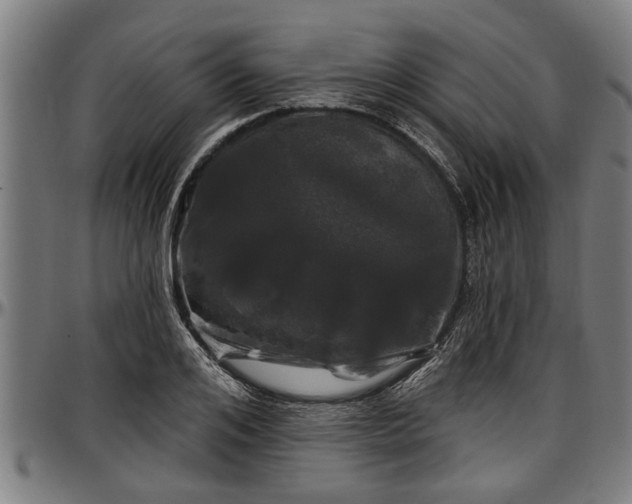 X0000097470984200802291307