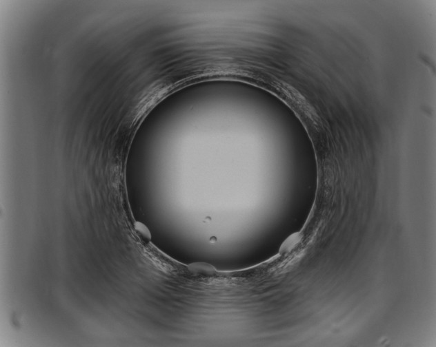 X0000097470985200802291307