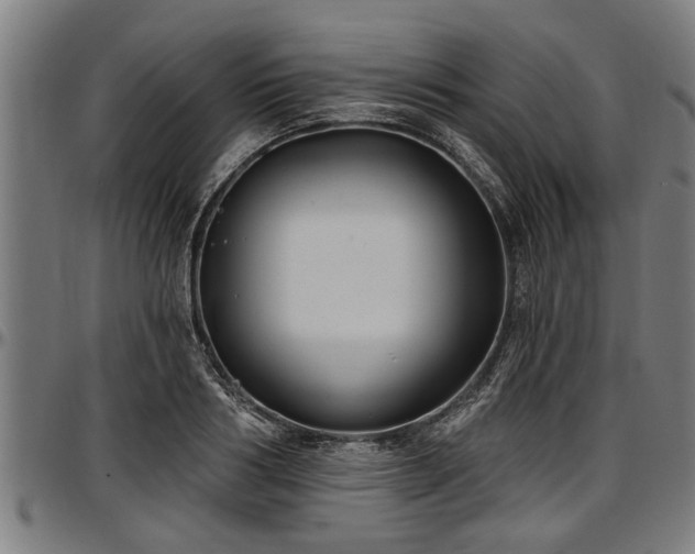X0000097470986200802291307