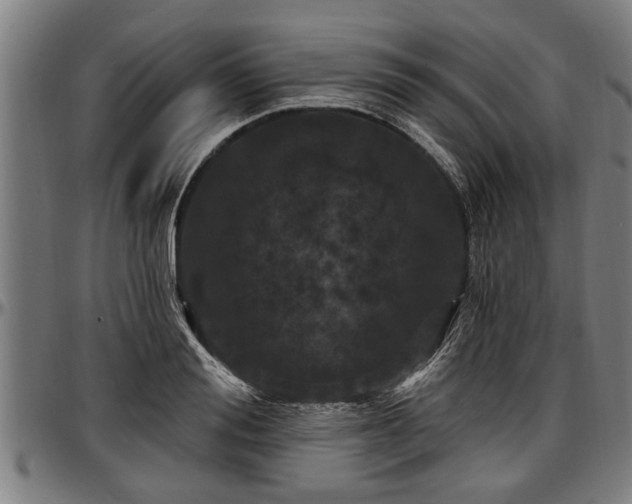 X0000097470988200802291307