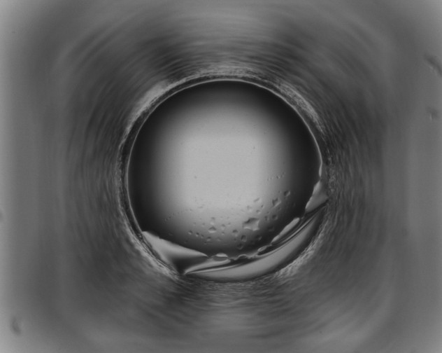X0000097470989200802291307