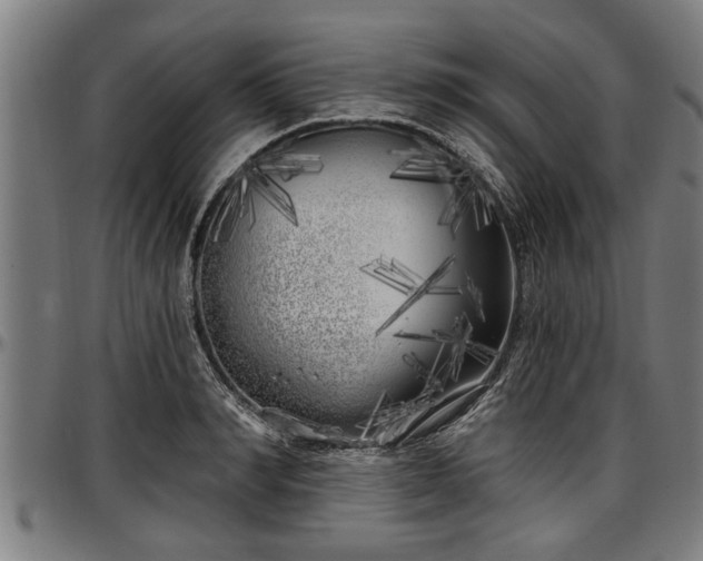 X0000097470990200802291307
